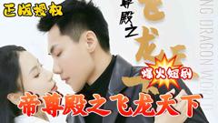 《帝尊殿之飞龙天下》