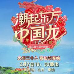 《2024山东春节联欢晚会》