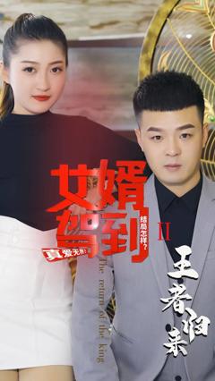 《女婿驾到②王者归来》