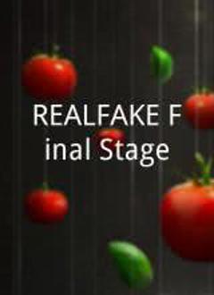 《REAL FAKE Final Stage》