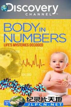 《人体密码 Body in Numbers》