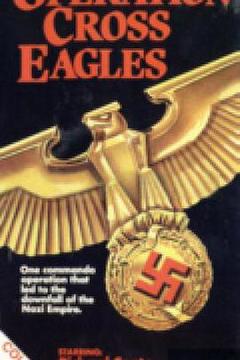 《十字鹰行动 Operation Cross Eagles》