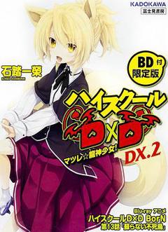 《恶魔高校D×D BorN OAD》