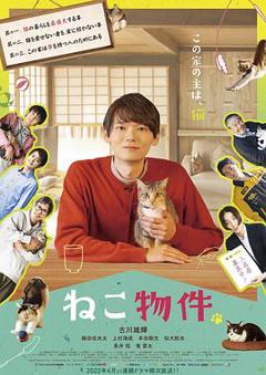 《猫咪合租屋》