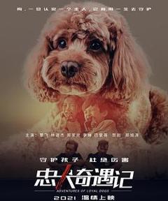 《忠犬奇遇记》