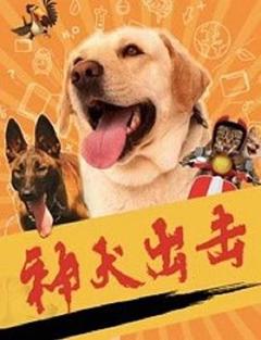 《神犬出击》