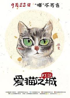 《爱猫之城》