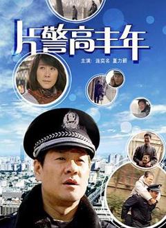 《片警高丰年》