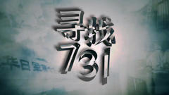 《寻找731》