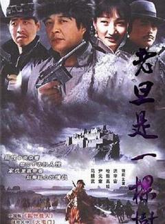 《老旦是一棵树[电影解说]》