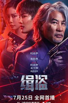 《缉盗2025》