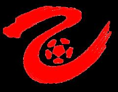 中乙 赣州瑞狮vs武汉三镇B队20250727