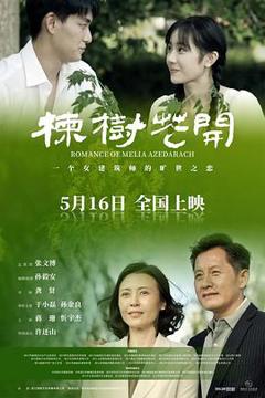 《楝树花开》