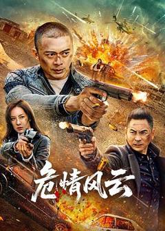 《危情风云》