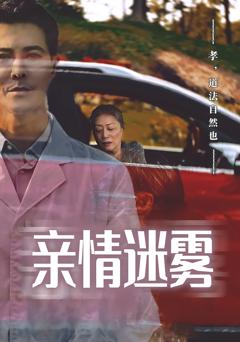 《亲情迷雾》