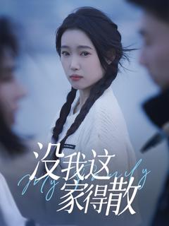 《没我这家得散》
