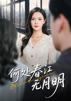 《何处春江无月明》