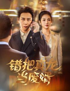 《错把真龙当废婿》