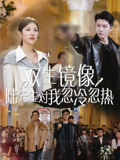《双生镜像陆先生对我忽冷忽热》