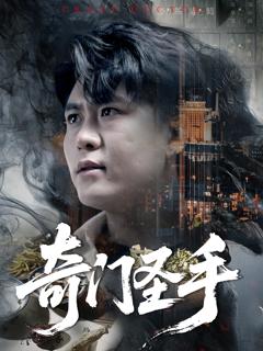 《奇门圣手》