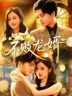 《不败龙婿》