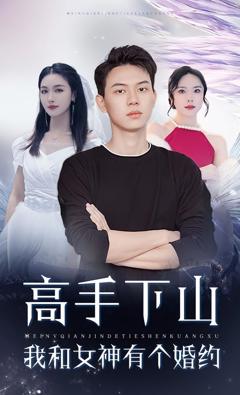 《高手下山我和女神有个约会，高手下山我和女神有个婚约》