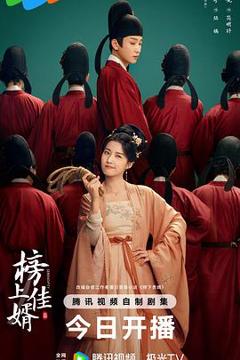 《榜上佳婿》