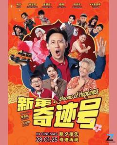 《新年奇迹号》