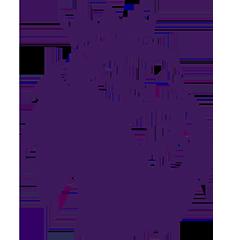 《英超 狼队vs布莱顿20251005》