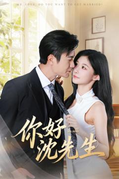 《你好沈先生》