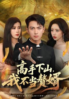 《高手下山我不当赘婿》