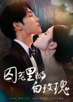 《囚笼里的白玫瑰》