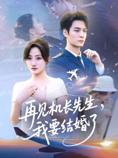 《再见机长先生我要结婚了》
