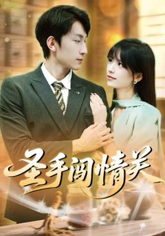 《圣手闯情关》