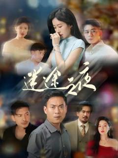 《迷途之夜》
