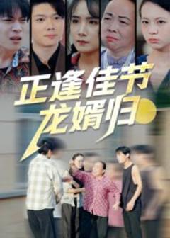 《正逢佳节龙婿归》