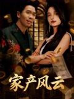 《家产风云》