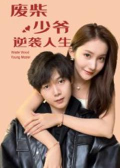 《废柴少爷的逆袭人生》