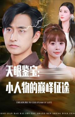 《天眼鉴宝小人物的巅峰征途》