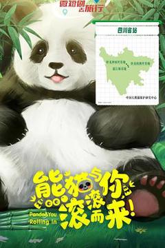 《熊猫与你,滚滚而来!》