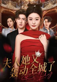 《夫人她又轰动全城了》