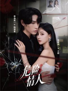 《危险情人第2季》