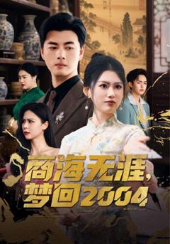 《商海无涯梦回2004》