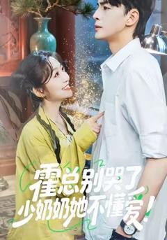 《霍总别哭了少奶奶她不懂爱》