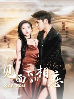 《见面不如相恋》