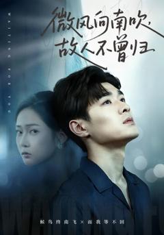 《微风向南吹，故人不曾归》