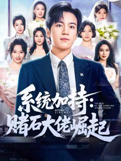 《系统加持：赌石大佬崛起》