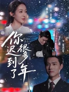 《你迟到了很多年》