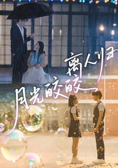 《月光皎皎离人归》