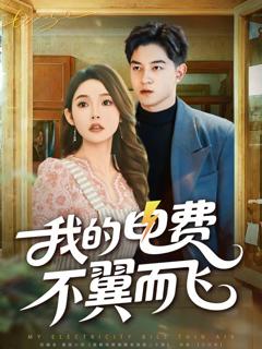 《我的电费不翼而飞》
